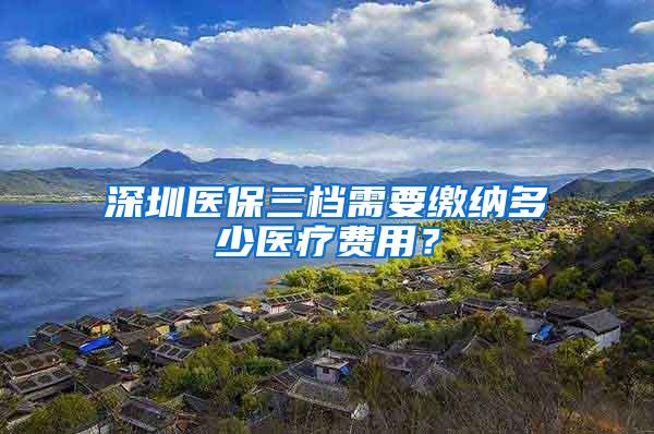 深圳医保三档需要缴纳多少医疗费用？