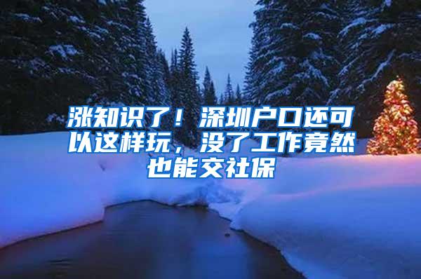 涨知识了！深圳户口还可以这样玩，没了工作竟然也能交社保