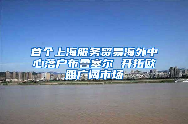 首个上海服务贸易海外中心落户布鲁塞尔 开拓欧盟广阔市场