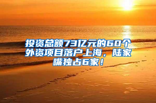 投资总额73亿元的60个外资项目落户上海，陆家嘴独占6家！