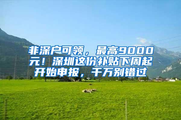 非深户可领，最高9000元！深圳这份补贴下周起开始申报，千万别错过