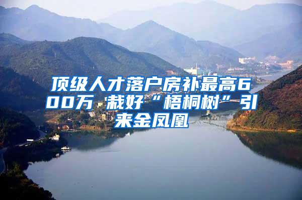 顶级人才落户房补最高600万 栽好“梧桐树”引来金凤凰