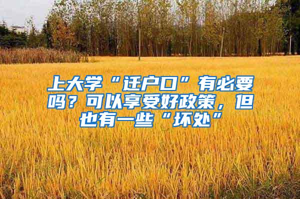 上大学“迁户口”有必要吗？可以享受好政策，但也有一些“坏处”