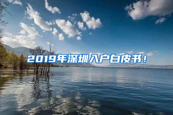 2019年深圳入户白皮书！