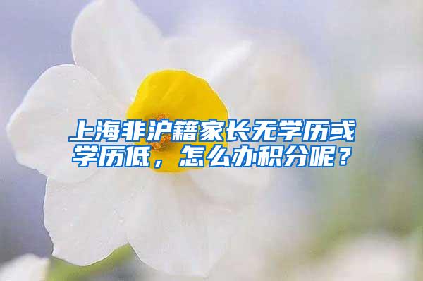 上海非沪籍家长无学历或学历低，怎么办积分呢？