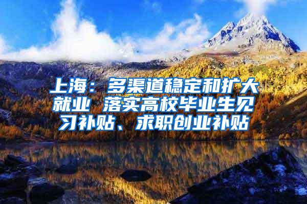 上海：多渠道稳定和扩大就业 落实高校毕业生见习补贴、求职创业补贴