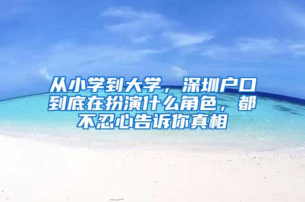 从小学到大学，深圳户口到底在扮演什么角色，都不忍心告诉你真相