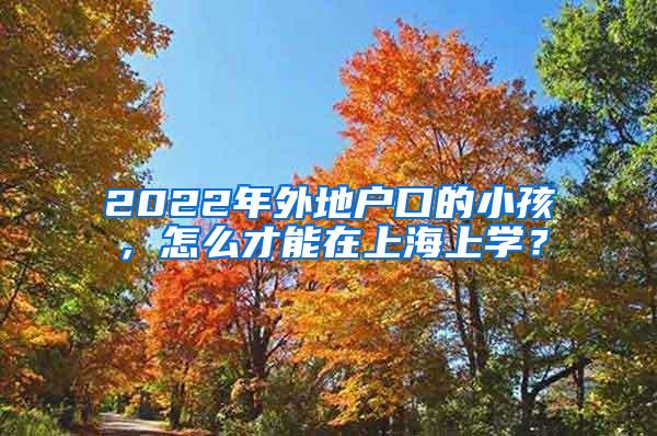 2022年外地户口的小孩，怎么才能在上海上学？