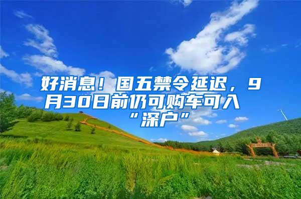 好消息！国五禁令延迟，9月30日前仍可购车可入“深户”