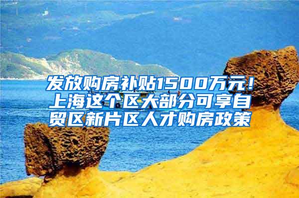 发放购房补贴1500万元！上海这个区大部分可享自贸区新片区人才购房政策