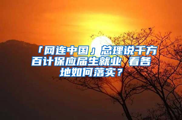 「网连中国」总理说千方百计保应届生就业 看各地如何落实？