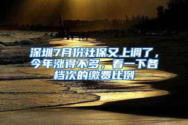 深圳7月份社保又上调了，今年涨得不多，看一下各档次的缴费比例