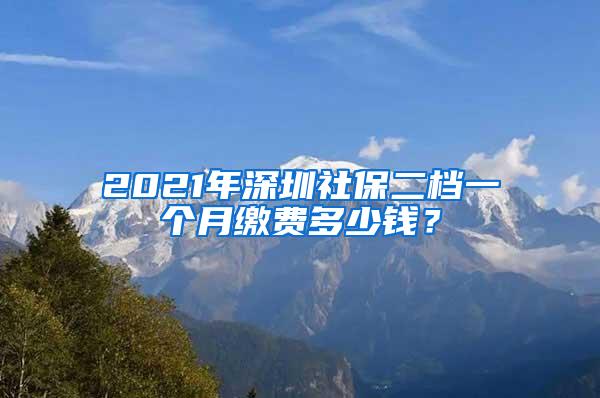 2021年深圳社保二档一个月缴费多少钱？