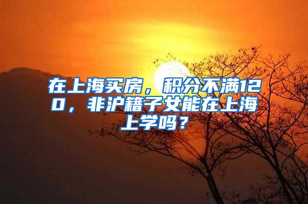 在上海买房，积分不满120，非沪籍子女能在上海上学吗？