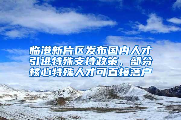 临港新片区发布国内人才引进特殊支持政策，部分核心特殊人才可直接落户