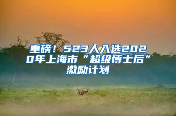 重磅！523人入选2020年上海市“超级博士后”激励计划