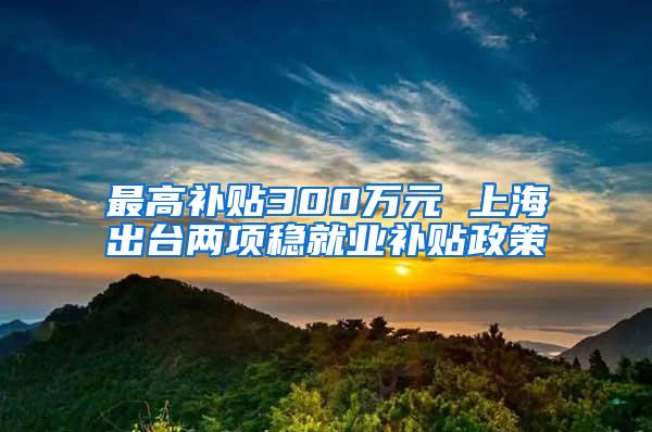 最高补贴300万元 上海出台两项稳就业补贴政策