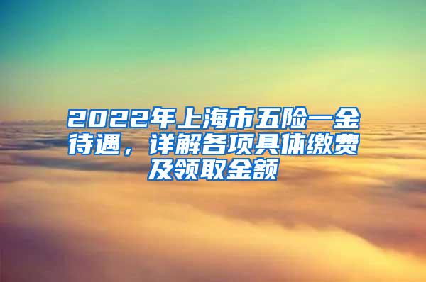 2022年上海市五险一金待遇，详解各项具体缴费及领取金额