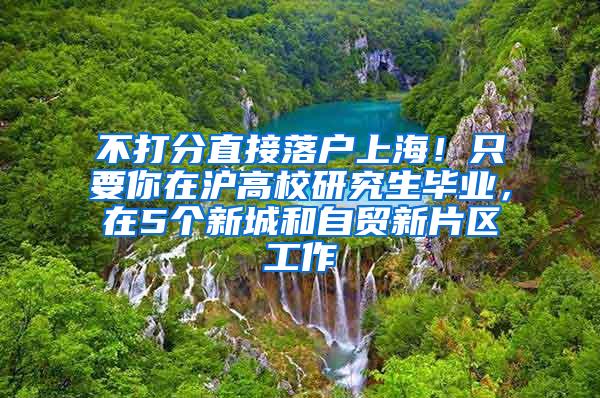 不打分直接落户上海！只要你在沪高校研究生毕业，在5个新城和自贸新片区工作