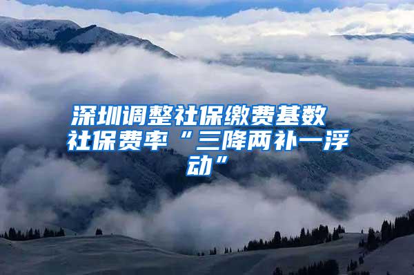 深圳调整社保缴费基数 社保费率“三降两补一浮动”