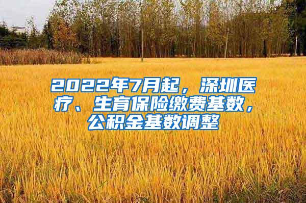 2022年7月起，深圳医疗、生育保险缴费基数，公积金基数调整