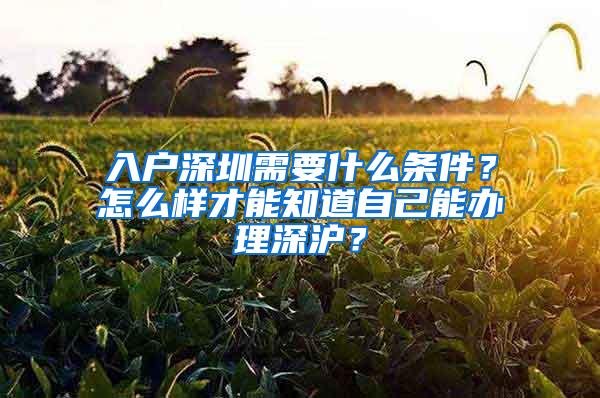 入户深圳需要什么条件？怎么样才能知道自己能办理深沪？