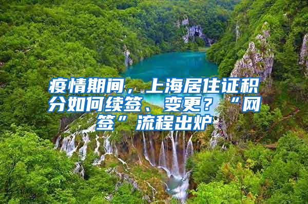 疫情期间，上海居住证积分如何续签、变更？“网签”流程出炉