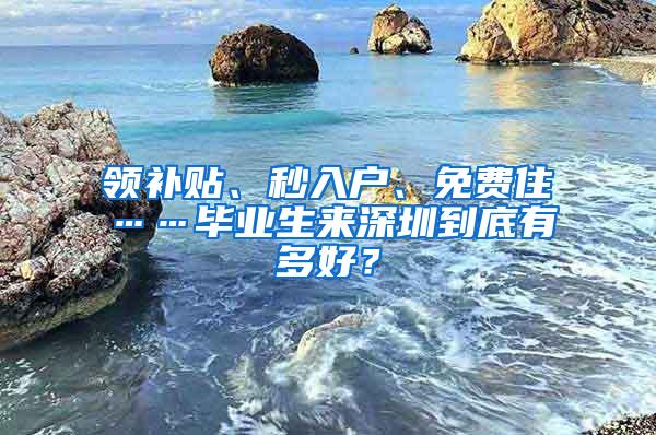 领补贴、秒入户、免费住……毕业生来深圳到底有多好？