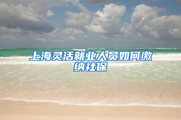 上海灵活就业人员如何缴纳社保