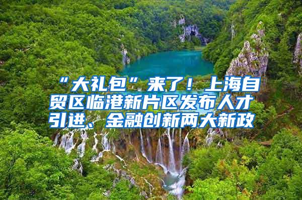 “大礼包”来了！上海自贸区临港新片区发布人才引进、金融创新两大新政