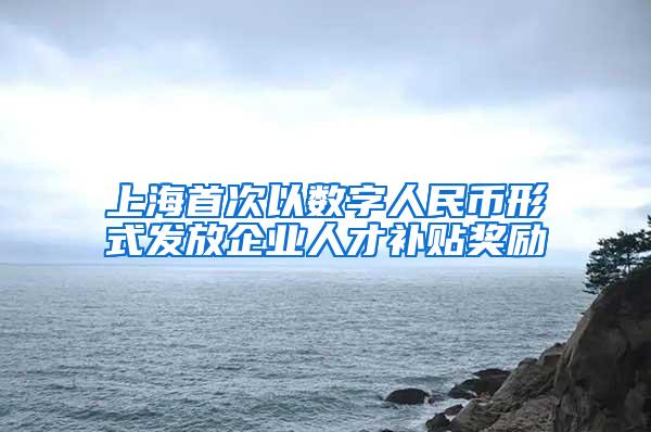 上海首次以数字人民币形式发放企业人才补贴奖励