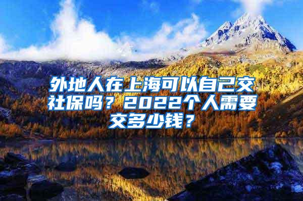 外地人在上海可以自己交社保吗？2022个人需要交多少钱？