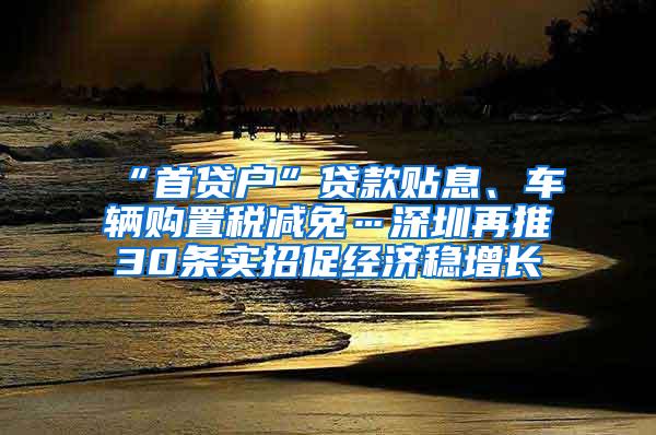 “首贷户”贷款贴息、车辆购置税减免…深圳再推30条实招促经济稳增长