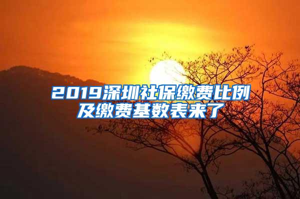 2019深圳社保缴费比例及缴费基数表来了