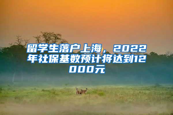 留学生落户上海，2022年社保基数预计将达到12000元