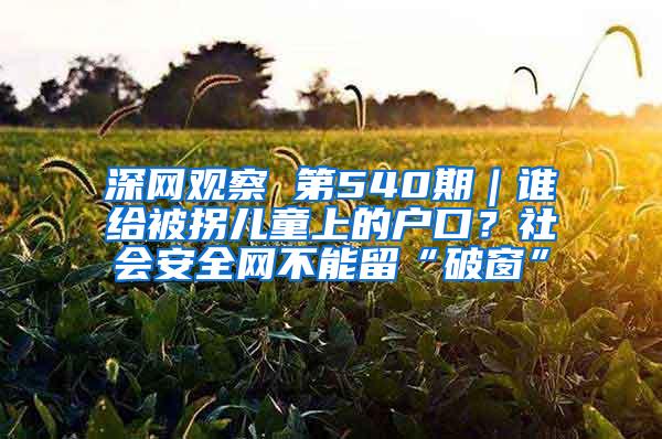 深网观察 第540期｜谁给被拐儿童上的户口？社会安全网不能留“破窗”