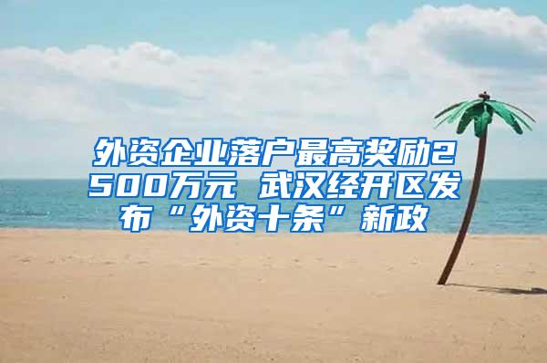 外资企业落户最高奖励2500万元 武汉经开区发布“外资十条”新政