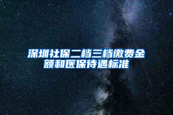 深圳社保二档三档缴费金额和医保待遇标准