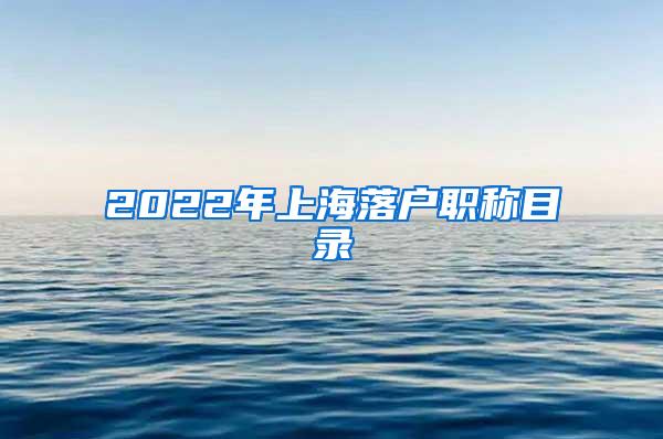 2022年上海落户职称目录