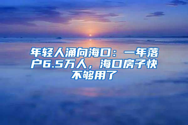 年轻人涌向海口：一年落户6.5万人，海口房子快不够用了