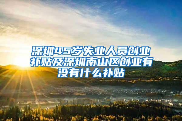 深圳45岁失业人员创业补贴及深圳南山区创业有没有什么补贴