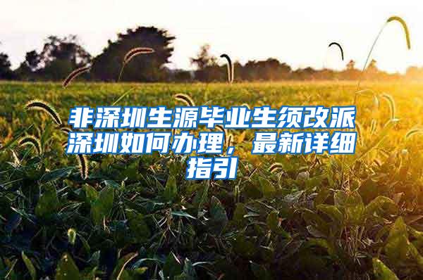 非深圳生源毕业生须改派深圳如何办理，最新详细指引