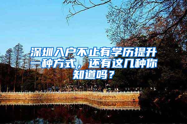 深圳入户不止有学历提升一种方式，还有这几种你知道吗？