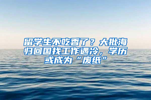 留学生不吃香了？大批海归回国找工作遇冷，学历或成为“废纸”