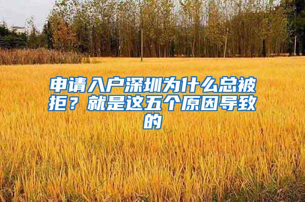 申请入户深圳为什么总被拒？就是这五个原因导致的