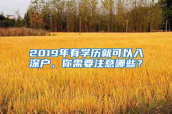 2019年有学历就可以入深户，你需要注意哪些？