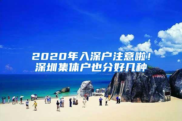 2020年入深户注意啦！深圳集体户也分好几种