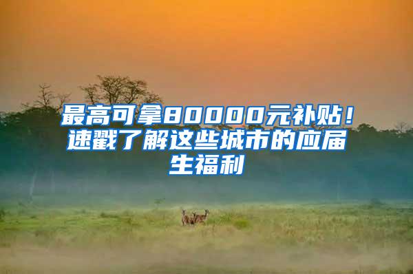 最高可拿80000元补贴！速戳了解这些城市的应届生福利