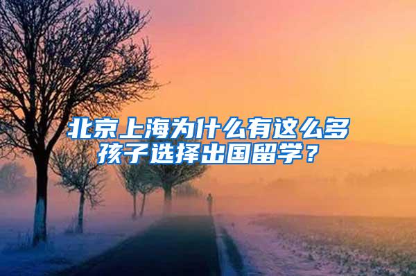 北京上海为什么有这么多孩子选择出国留学？