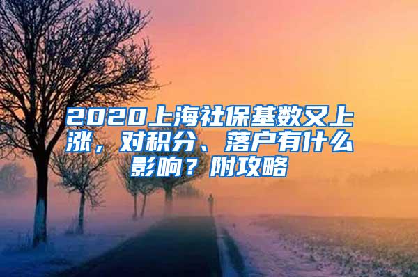 2020上海社保基数又上涨，对积分、落户有什么影响？附攻略